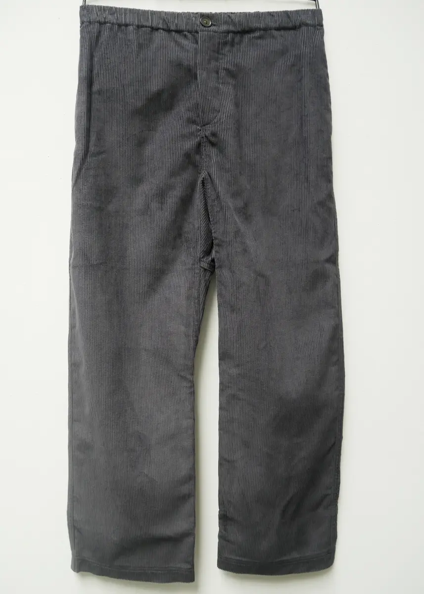 Sofie D'Hoore - Pants Pinot graphite